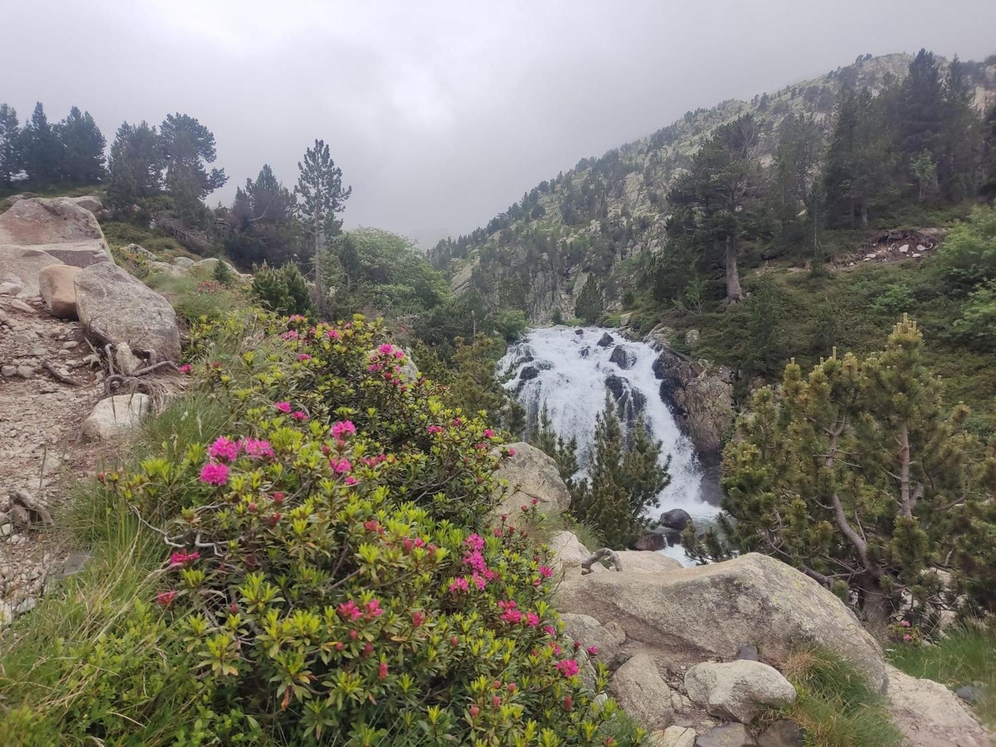 Apartamento El Refugio De Sara Benasque Dış mekan fotoğraf