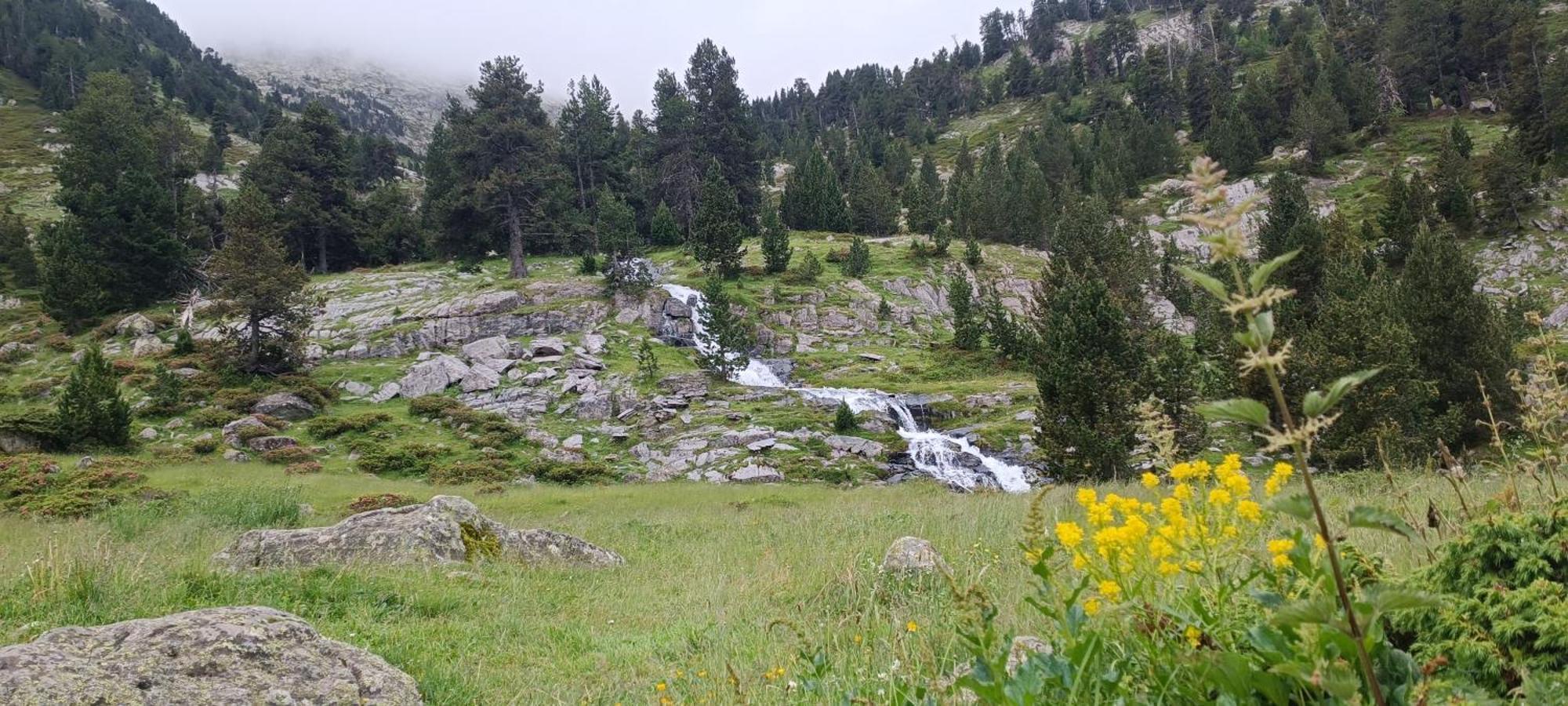 Apartamento El Refugio De Sara Benasque Dış mekan fotoğraf